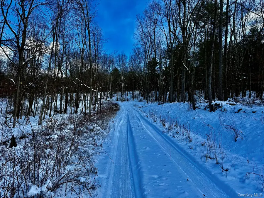 266 Pitts Road, Old Chatham, NY 12136 - Image #2