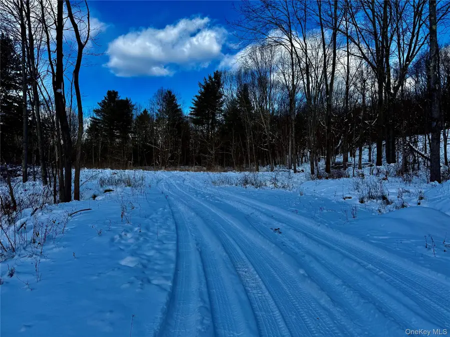 266 Pitts Road, Old Chatham, NY 12136 - Image #3