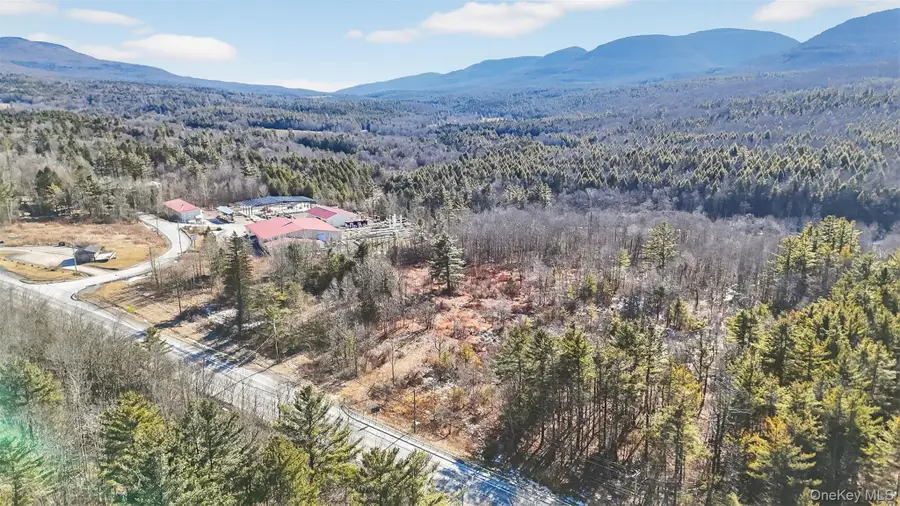 6769 Rt-23a, Hunter Town, NY 12442 - Image #3