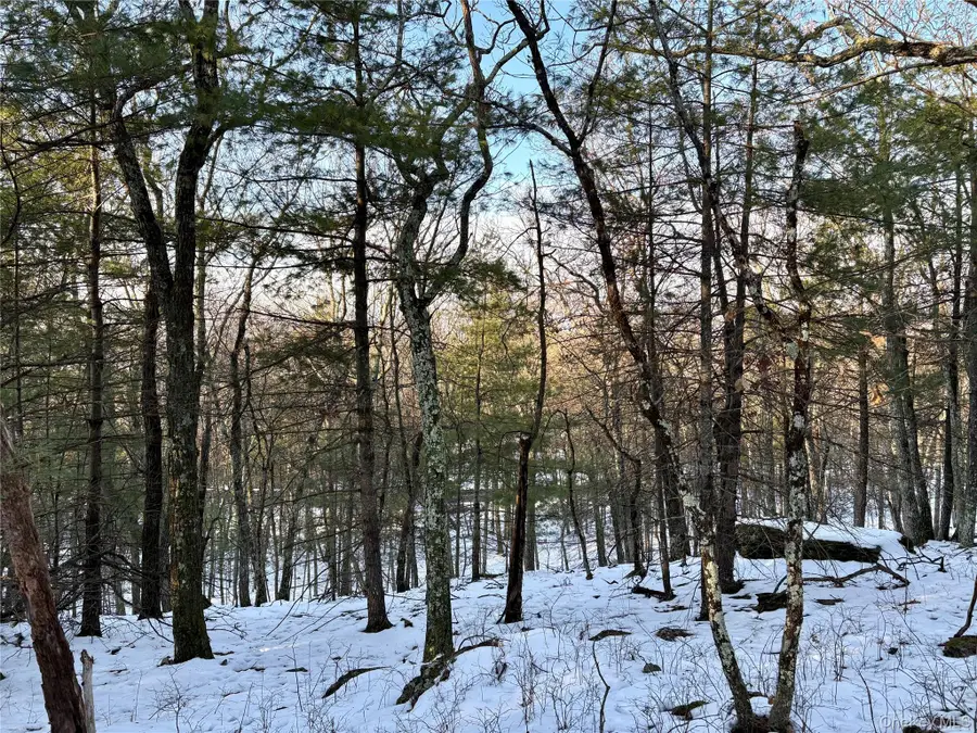 Route 28a, Bloomington, NY 12443 - Image #2