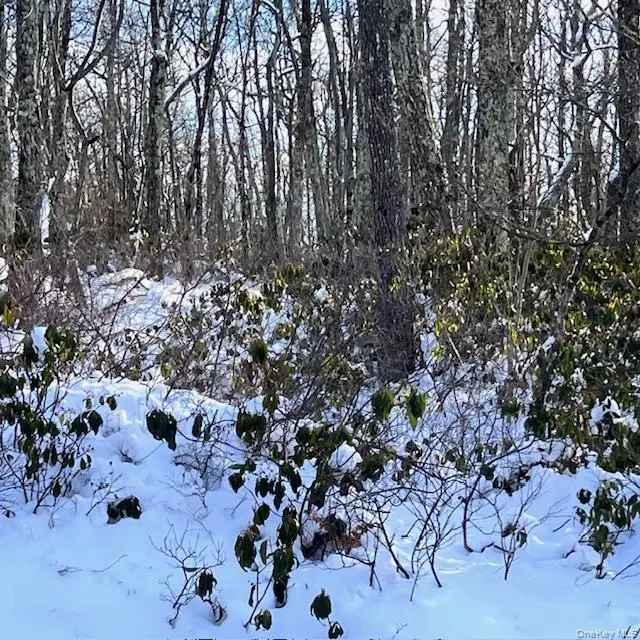 Budd Road, Wurtsboro, NY 12790 - #2