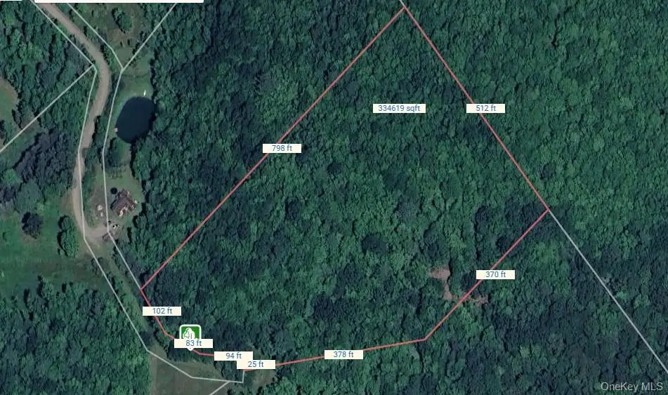 Lot 29.4 Sunset Trail, Franklin, NY 13775 - #1