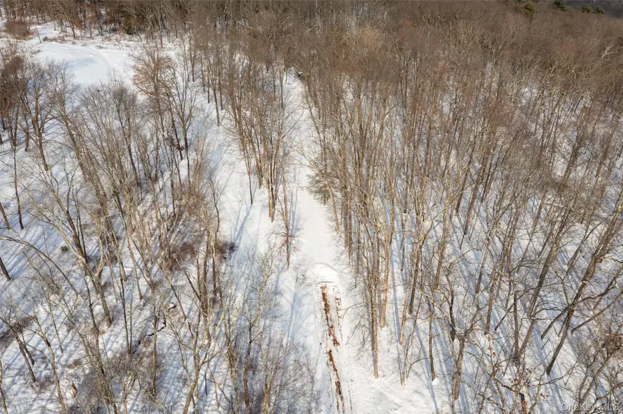 207 Pleasant Vale, Tivoli, NY 12583 - Image #3