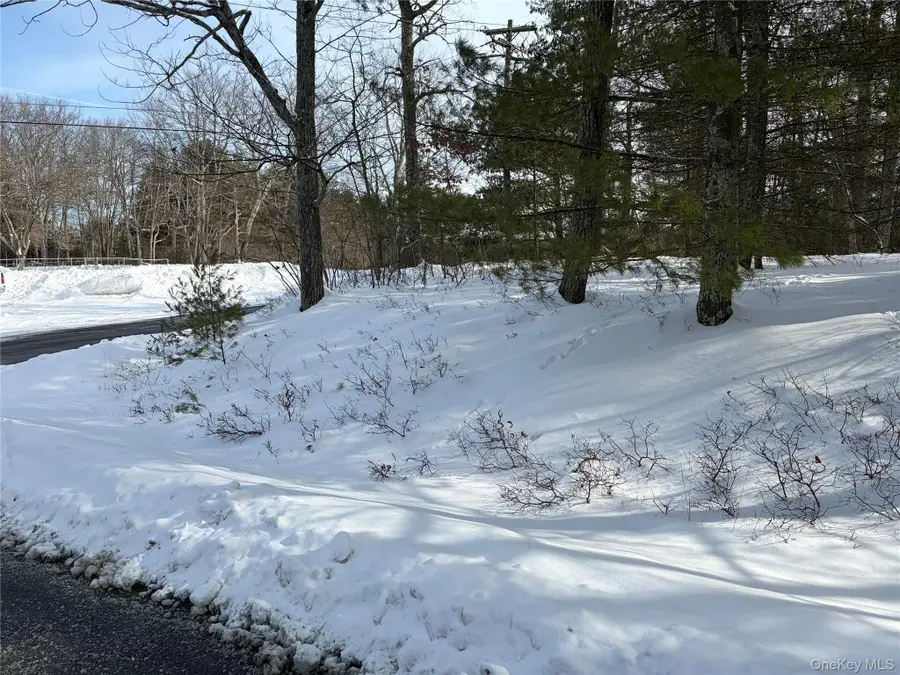 Lot 1 Willow Lane, Glen Spey, NY 12737 - Image #3