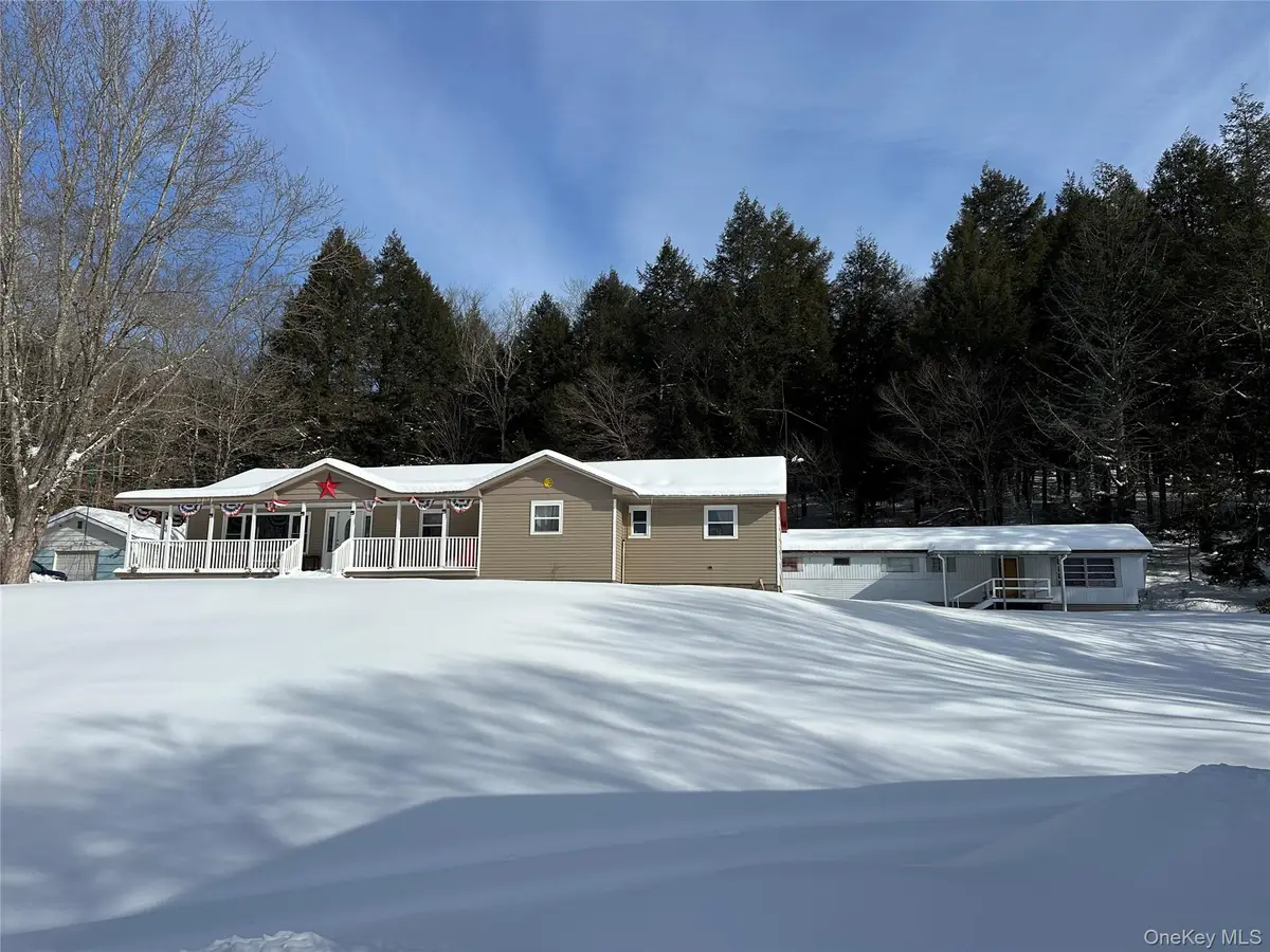 16 John Gray Road, Livingston Manor, NY 12758 - Image #1