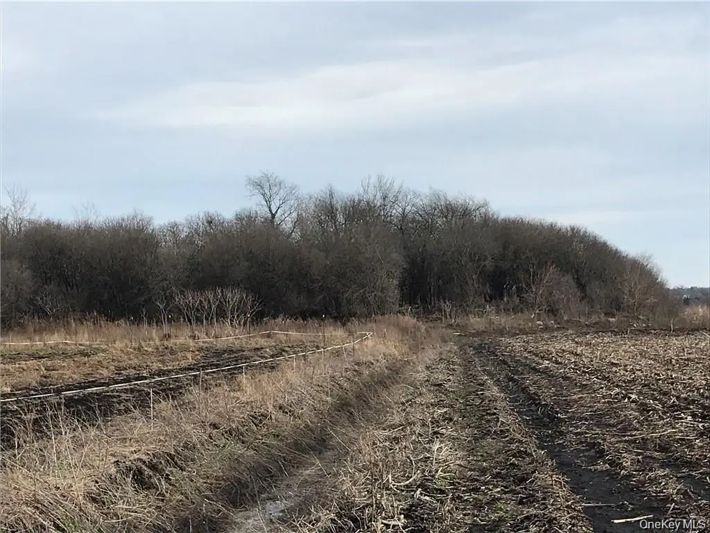 46 Jessup Switch Road, Goshen, NY 10924 - Image #1