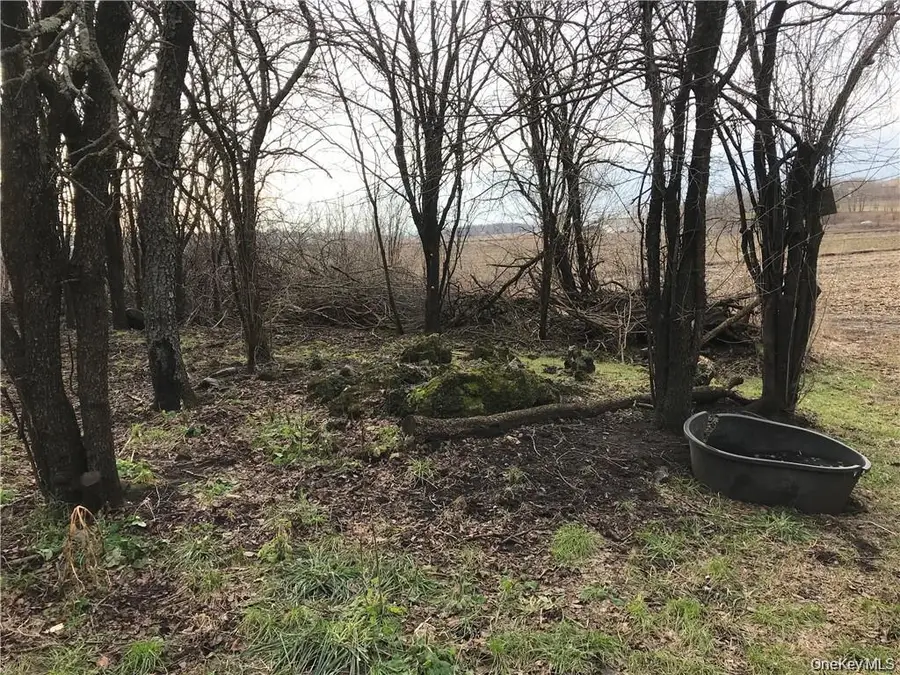 46 Jessup Switch Road, Goshen, NY 10924 - Image #3