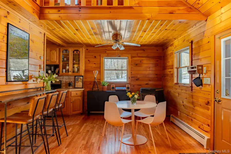 81 Macdougal Road, Roscoe, NY 12776 - #2