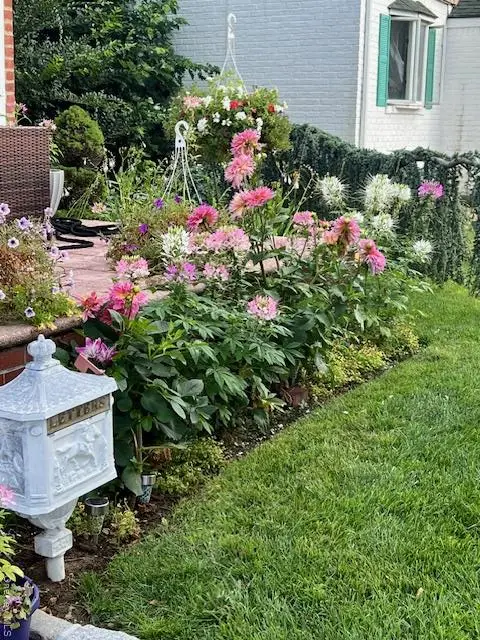 208 Emily Avenue, Elmont, NY 11003 - #3