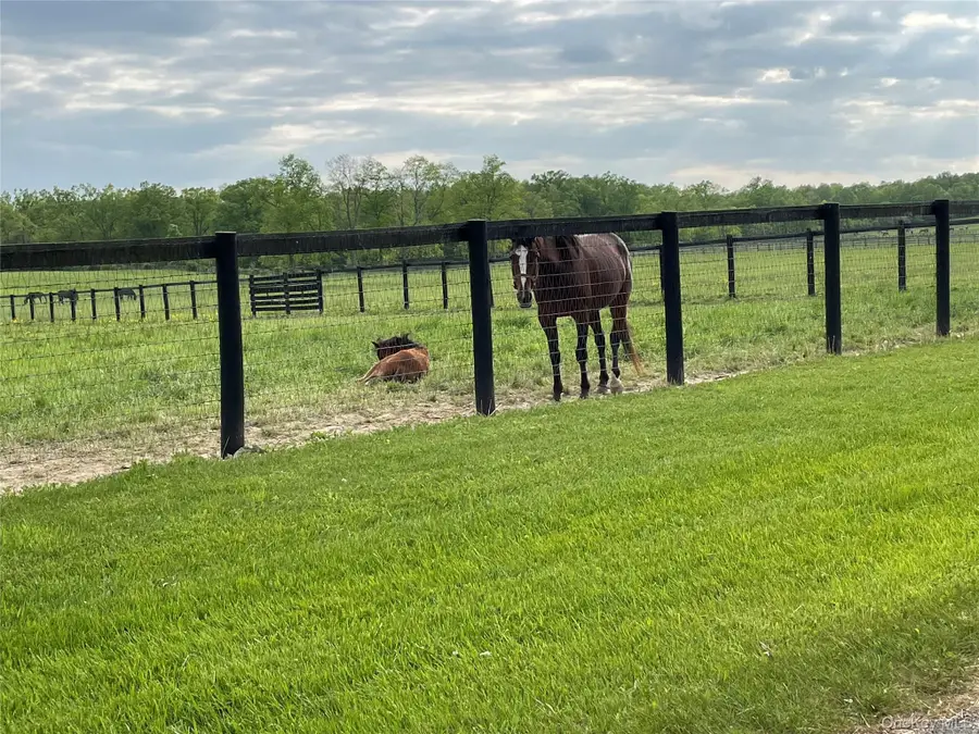 40 Bates Lane, Wallkill, NY 12589 - #2