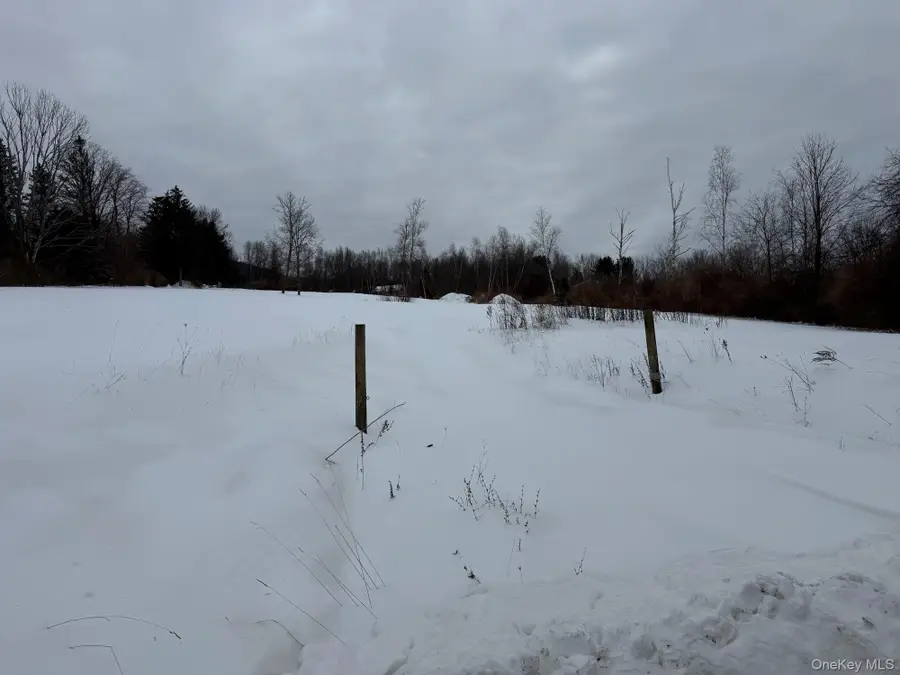 8 Yellow City Rd, Amenia, NY 12501 - #3