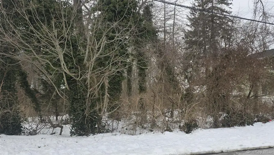 16 Hickory Street, Wyandanch, NY 11798 - Image #2