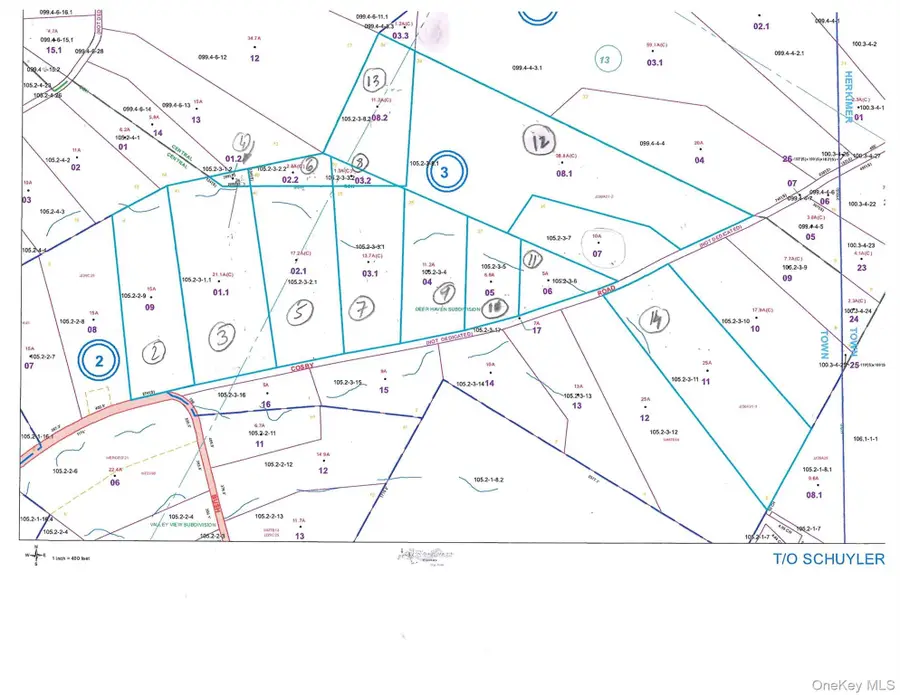 Hawthorne Road, Frankfort, NY 13340 - #2