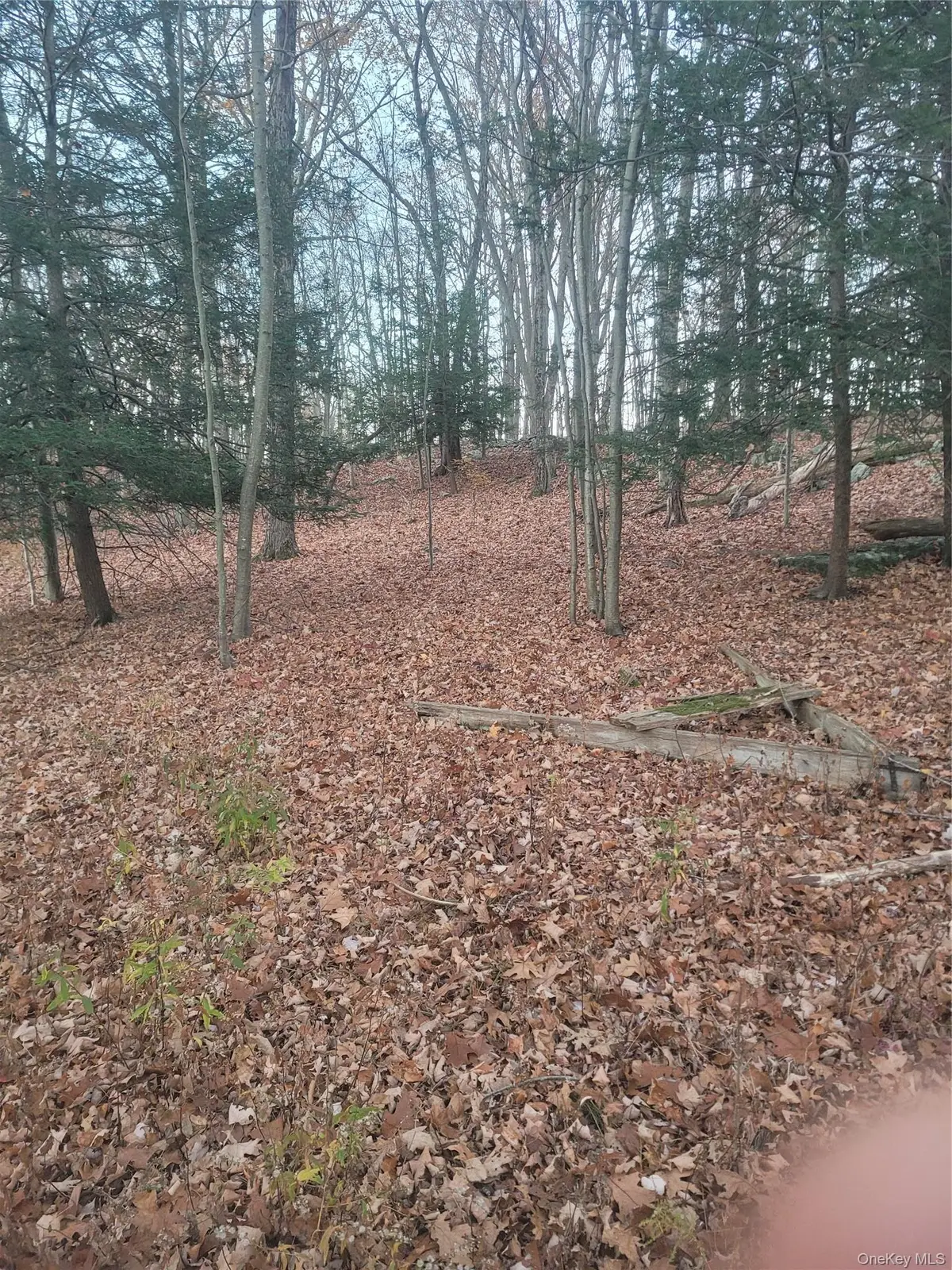 35 Shenandoah Court, Carmel, NY 10512 - #1