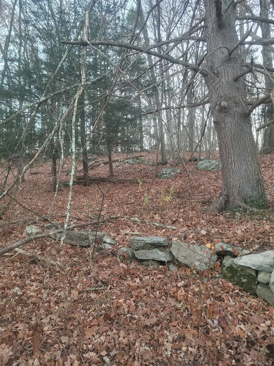 35 Shenandoah Court, Carmel, NY 10512 - #2