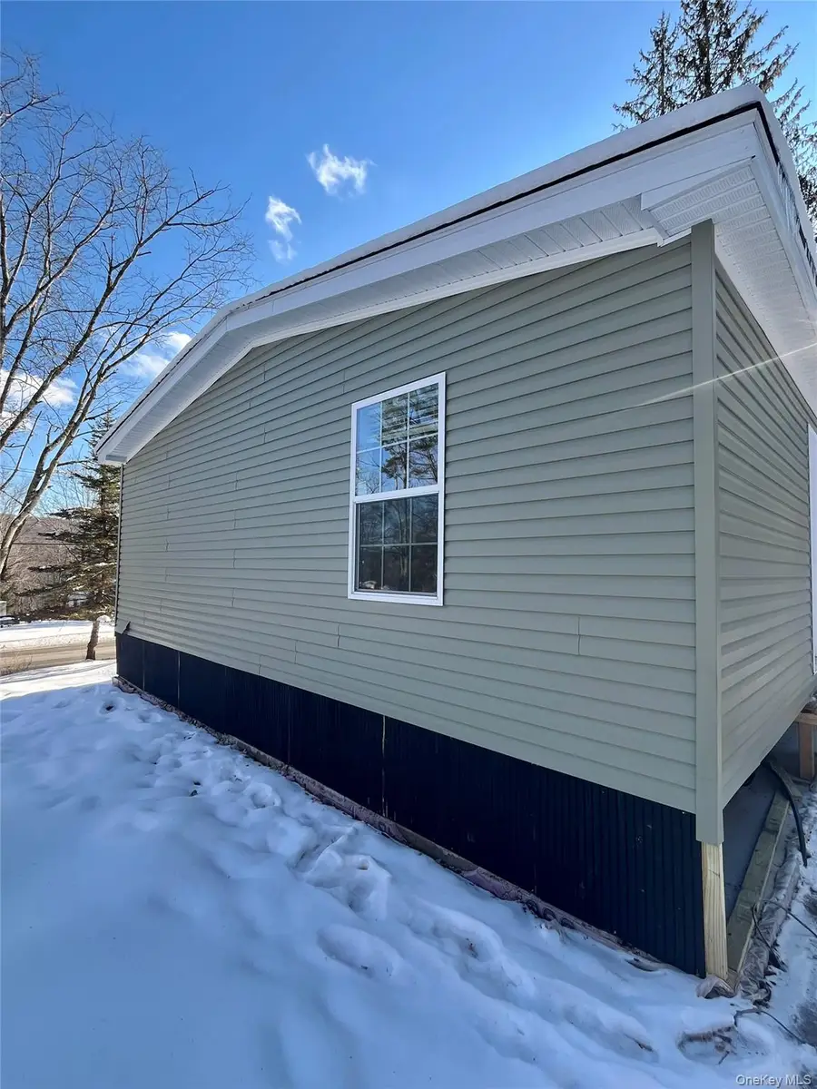 317 Debruce Road, Livingston Manor, NY 12758 - #3