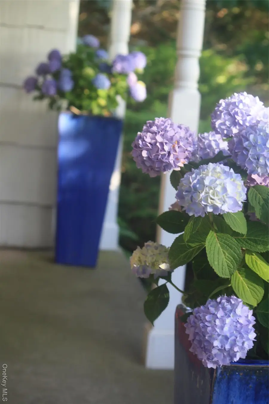 5845 E Bridge Lane Ne, Cutchogue, NY 11935 - #3