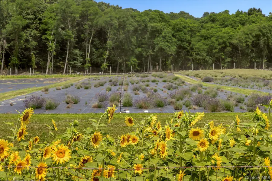 2551 & 3360 Sound Avenue, Riverhead, NY 11901 - #3