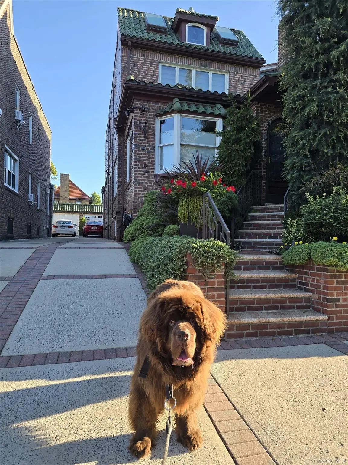 137 82nd Street, Brooklyn, NY 11209 - Image #1