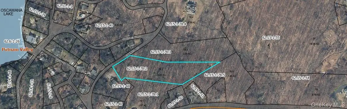 Saw Mill Road, Putnam Valley, NY 10579 - #1