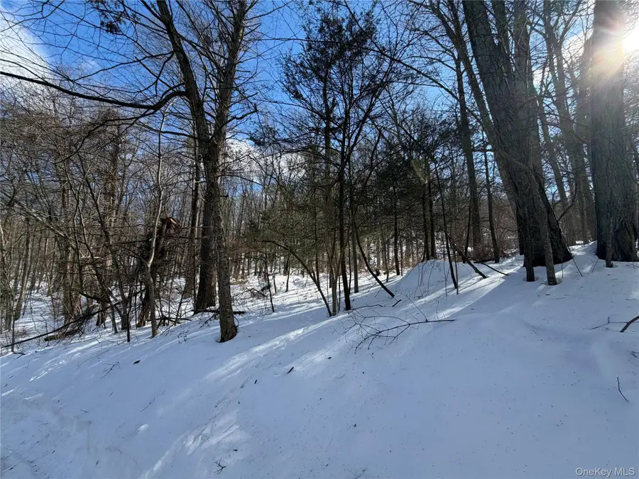 Saw Mill Road, Putnam Valley, NY 10579 - #3