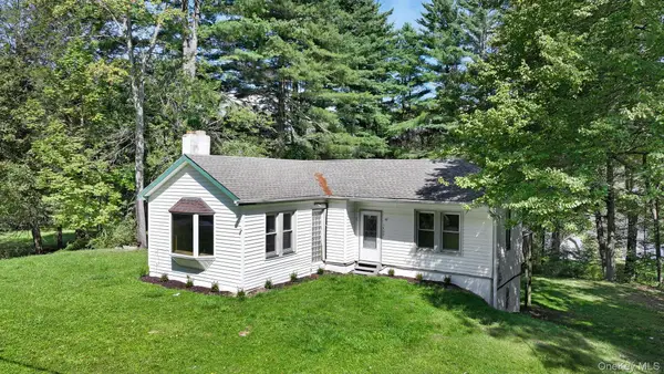 1463 Briscoe Road, Swan Lake, NY 12783