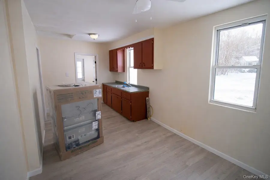 24 Albion Street, Liberty, NY 12754 - #3