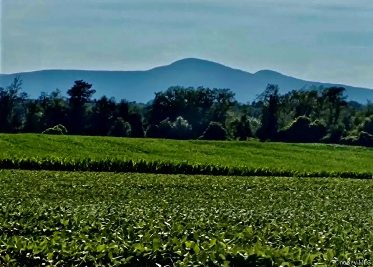 Orchard, Hudson, NY 12541 - #1