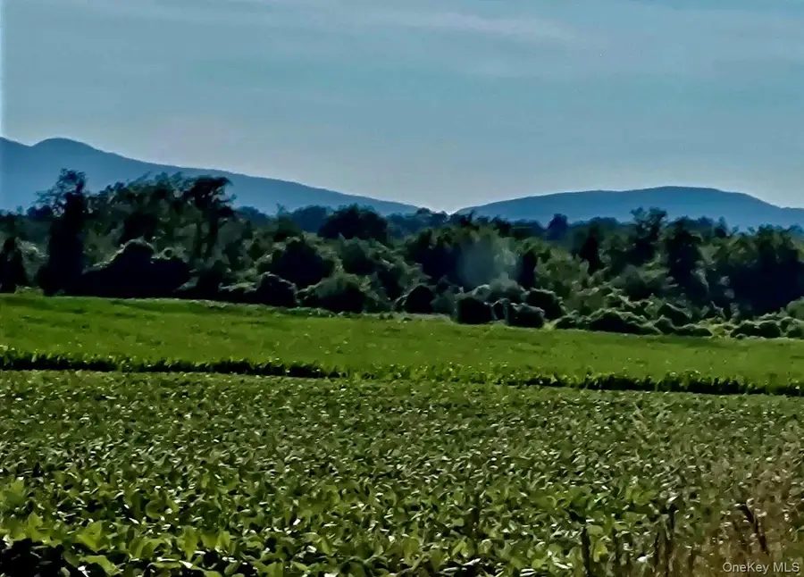 Orchard, Hudson, NY 12541 - #3