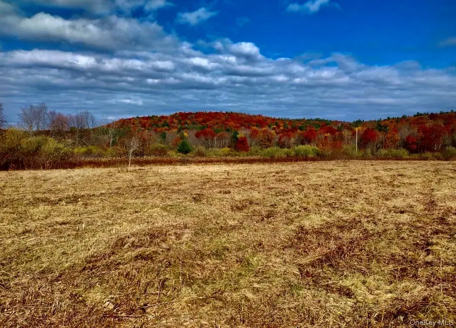 Manor Rock Road, Craryville, NY 12521 - #2