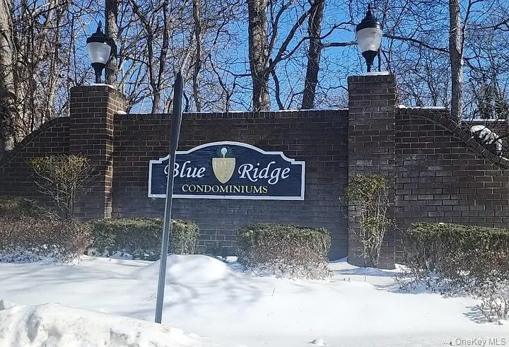 36 Blue Ridge Drive, Medford, NY 11763 - #3