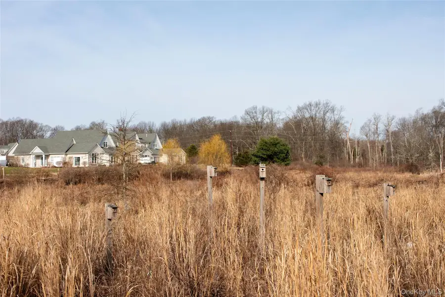 7 Sunflower Place, Rhinebeck, NY 12572 - #3