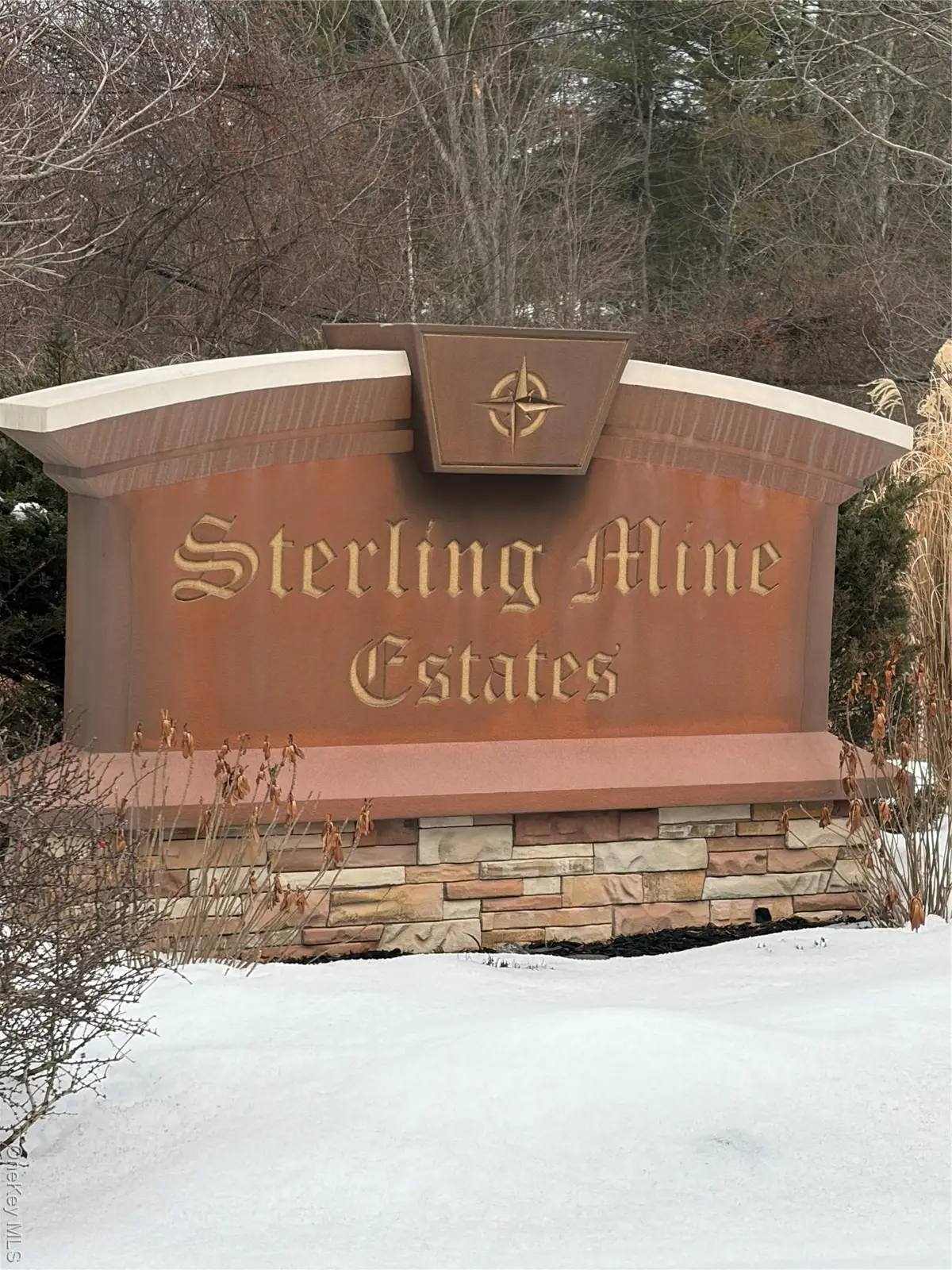 96 Juniper Terrace, Tuxedo Park, NY 10987 - #1