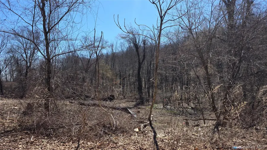 91 Barrett Hill Road, Carmel, NY 10512 - #2