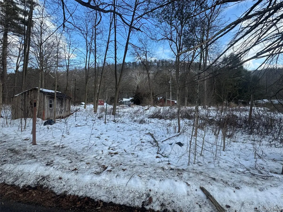 6-8 Grove Street, Godeffroy, NY 12729 - #1