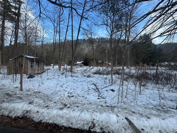 6-8 Grove Street, Godeffroy, NY 12729