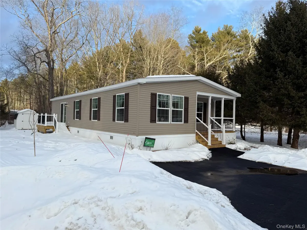 1 Susan Lane, South Cairo, NY 12482 - #1