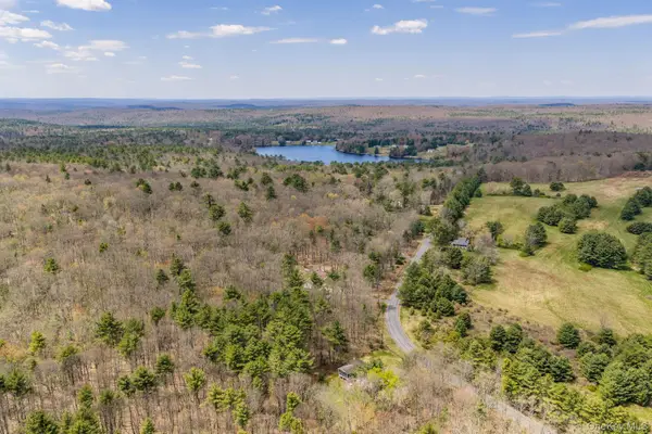 Lot 20.8 Airport Road, Eldred, NY 12732