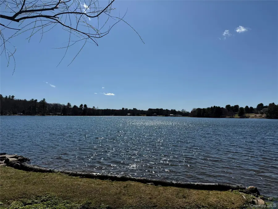 Lot 20.8 Airport Road, Eldred, NY 12732 - #2