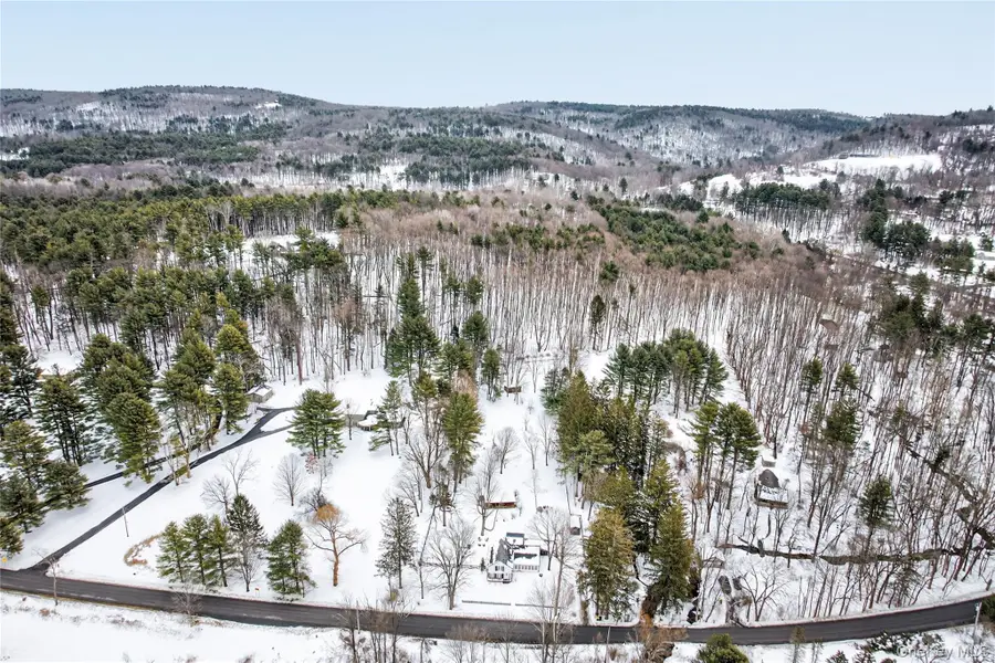 46 Collins Street, Hillsdale, NY 12529 - #3