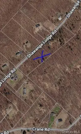 237 Shawanga Lodge Road, Bloomingburg, NY 12721
