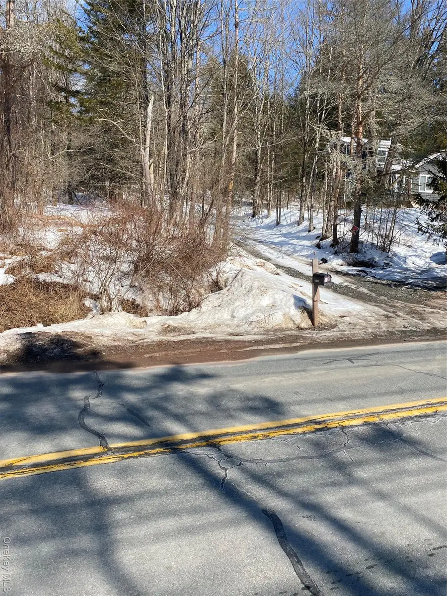 1432 Old Route 17, Roscoe, NY 12776 - #2