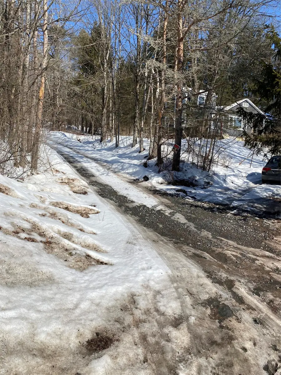 1432 Old Route 17, Roscoe, NY 12776 - #3