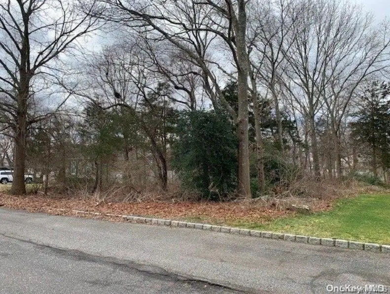 114 Wyoming Avenue, Port Jefferson Station, NY 11776 - #2