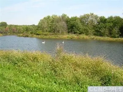 620 Bean River Road, Pine Plains, NY 12567 - #1