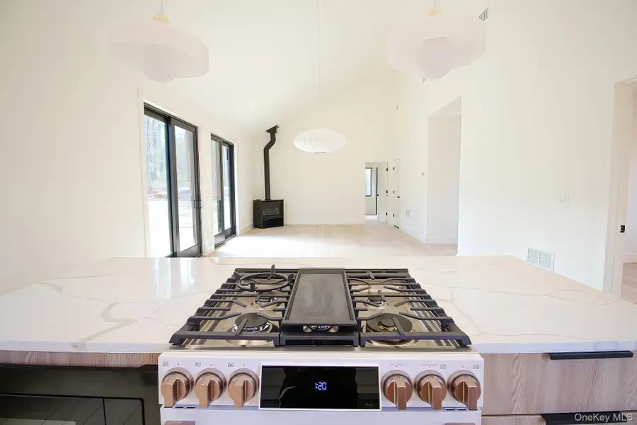 TBD Devlin Road, Highland Lake, NY 12528 - #3