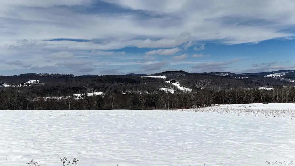 Hubert Road, Jeffersonville, NY 12748 - #1