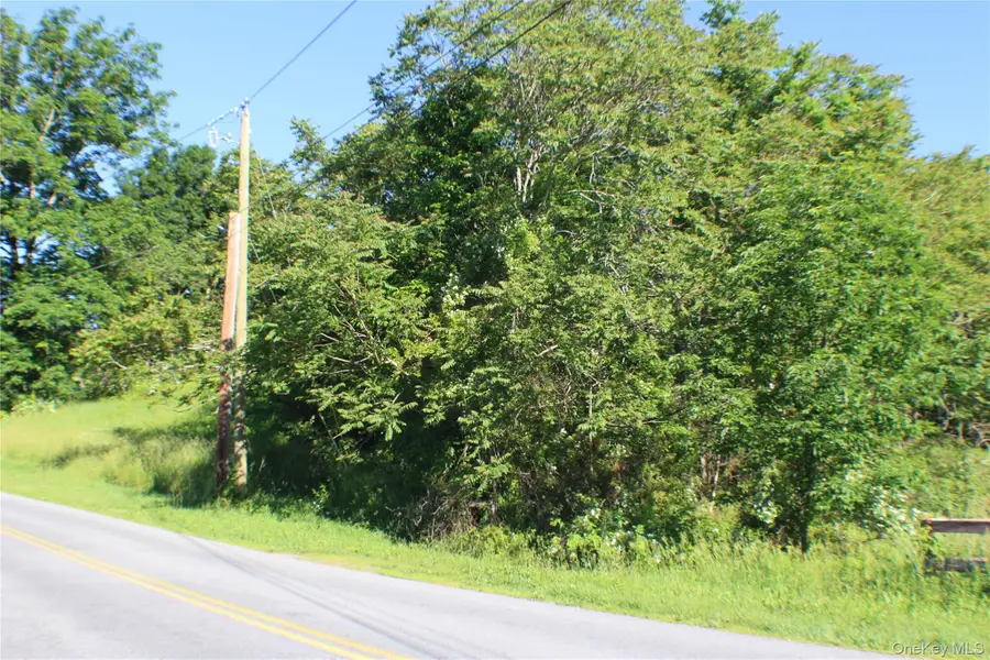 Lot 2 South Centerville Road, Middletown, NY 10940 - #3