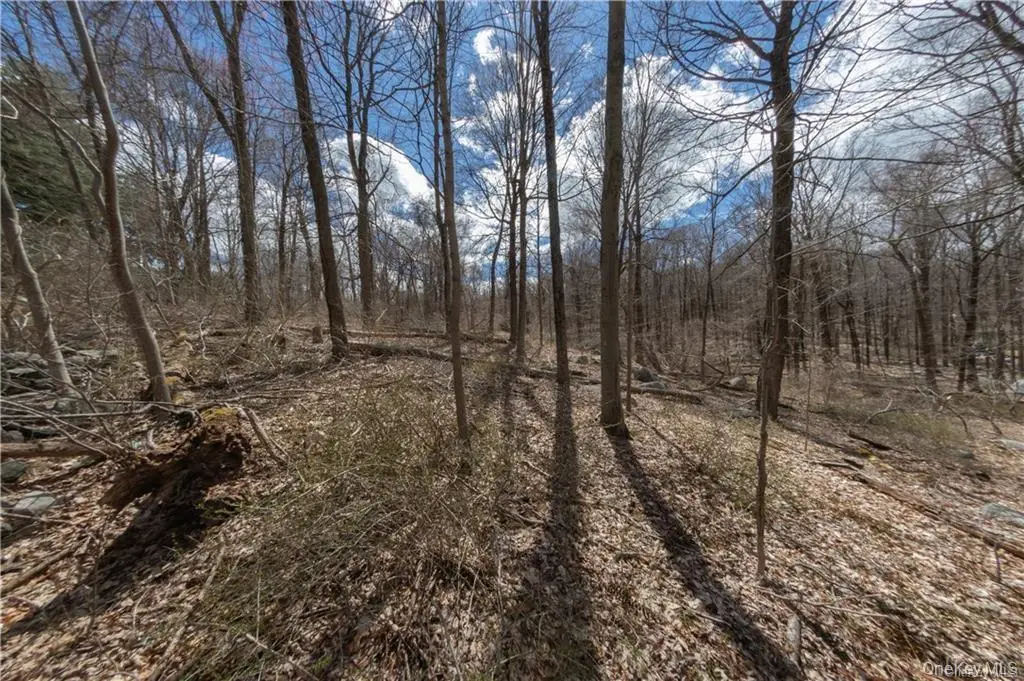 91 Sherwood Hill Road, Brewster, NY 10509 - #1