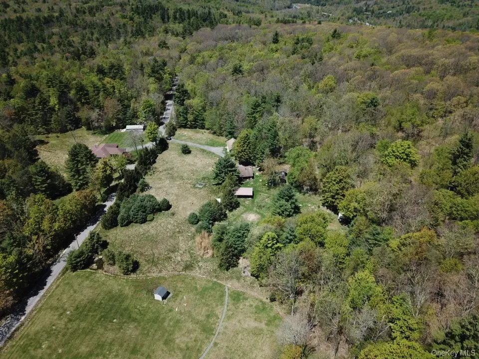 101 Red Star Road, Greenfield Park, NY 12435 - #1